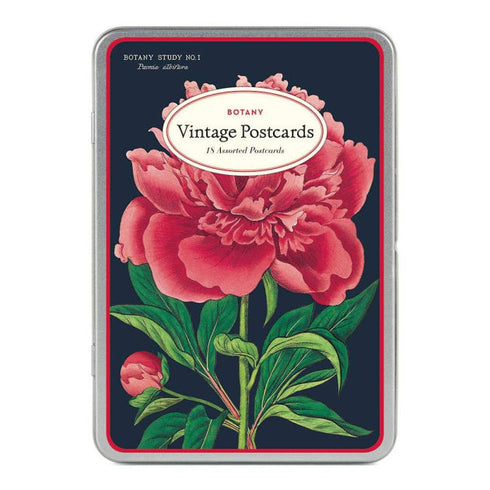 POSTCARDS BOTANICA FLOWERS